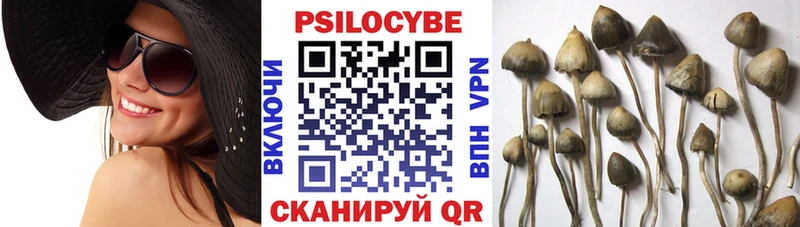 Псилоцибиновые грибы Magic Shrooms  mega ONION  Усмань 